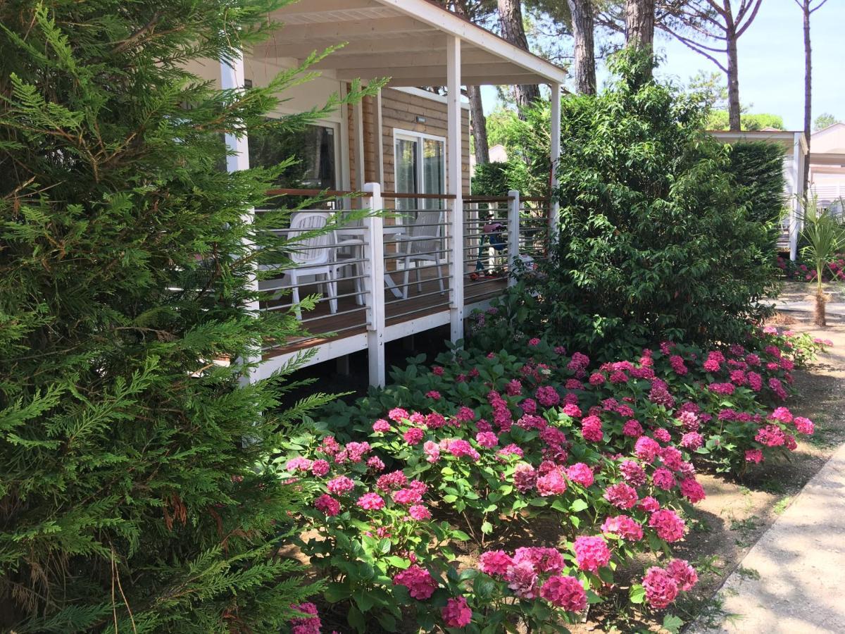 Dune Prestige & Chalets 비비오네 외부 사진